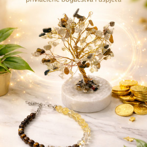 set kristala novac i uspjeh, narukvica za novac, drvo kristala obilje, citrin značenje, gorski kristal značenje, tigrovo oko značenje, kristali za uspjeh, kristali za novac, dekoracija za ured energija, MelAureus by Melanija Maružin